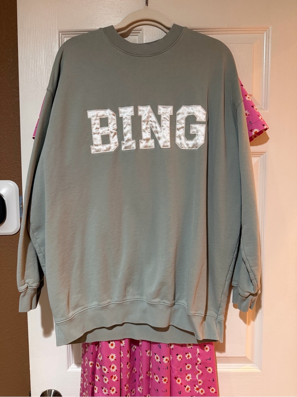 Anine Bing sweatshirt